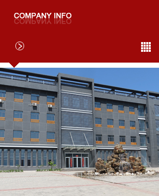 Компания-Info